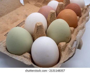 Colorful eggs in an egg pack