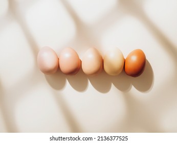 Colorful eggs are in row beige background and shadows  Eggs are arranged by color from the lightest to the darkest   Color gradient  Trendy easter background