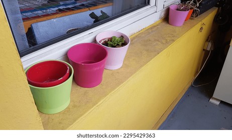 colorful empty flower pots on window sill. flower pots with dried plants and flowers on window ledge. dry flowers. dead plants in pots. - Powered by Shutterstock