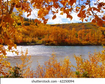 Colorful Fall Foliage Along The Bow River, Calgary, Canada