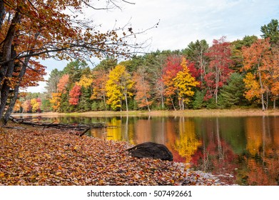 Colorful Fall Foliage, Georgetown, Maine