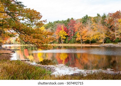 Colorful Fall Foliage, Georgetown, Maine