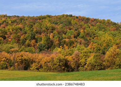 colorful fall foliage  on the hillside on a sunny autumn day near gettysburg, adams county, pennsylvania