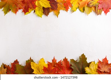 Colorful Fall Leaves On White Background. Autumn Frame. Flat Lay, Top View, Copy Space.