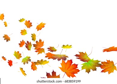 140,255 Leaves in the wind Stock Photos, Images & Photography ...