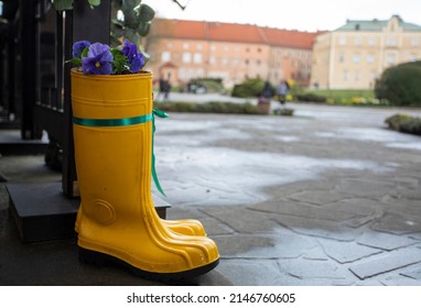 Colorful Family Rain Boots With Pansy Flowers On A Rainy Day Outdoors, Horizontal