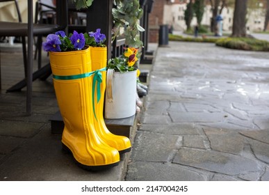 Colorful Family Rain Boots With Pansy Flowers On A Rainy Day Outdoors, Horizontal