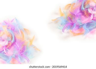 Colorful Feather Background Isolated On White Stock Photo 2019569414 ...