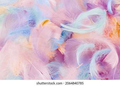 Abstract feather rainbow patchwork background Images, Stock Photos