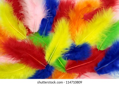 Colorful  Feathers  Background