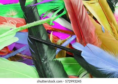 Colorful Feathers Bird Feather Texture Background Stock Photo 572993269 ...