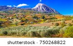 Colorful fields of vineayrds and olives trees in Benevento province. Italy