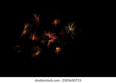 Colorful firework exploding over tha dark night sky as part of a celebration