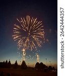 Colorful fireworks explode over Waunakee, Wisconsin on the Fourth of July, lighting up the summer night sky in celebration of Independence Day near Madison.
