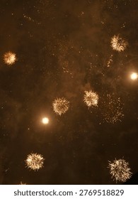 Colorful fireworks exploding in night sky