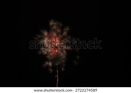 Colorful fireworks exploding in the night sky, creating a bright and festive atmosphere. Beautiful light patterns celebrating holidays, festivals, New Year, or special events. Vibrant pyrotechnic display against a dark background.