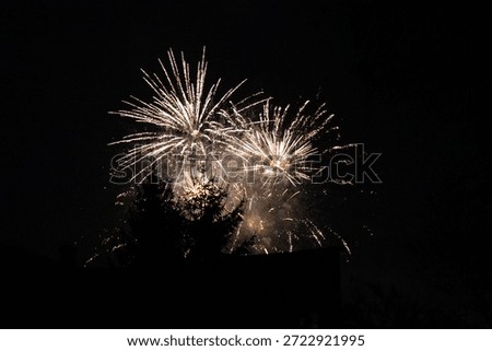 Colorful fireworks exploding in night sky