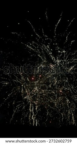 Colorful Fireworks exploding in night sky