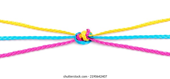 Colorful Flat Leather Braided Cords Diverge To The Sides From A Large Knot In The Center. Creative Collaboration And Sharing Concept.