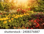 Colorful flower bed.Garden at Royal Palace of Godollo,Hungary.Summer season. High quality photo