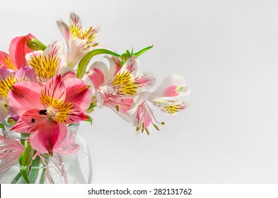 Colorful Flower Bouquet Arrangement Centerpiece In Vase Isolated On White.