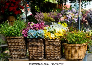 Colorful Flower In Front Of Flower Shop