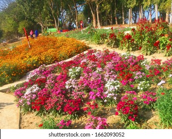 カラフル 花畑 の写真素材 画像 写真 Shutterstock