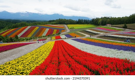 Colorful Flower Garden Park Stock Photo 2194370391 | Shutterstock
