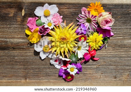Similar – Image, Stock Photo Summer flowers frame on green