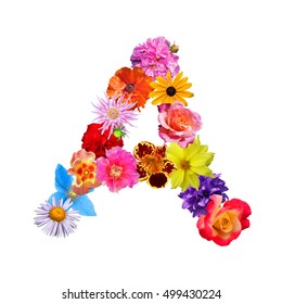 Colorful Flower Letter M Stock Photo (Edit Now) 499428295