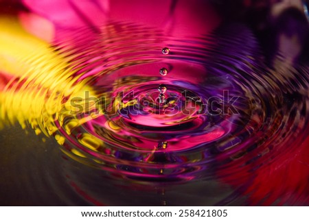 colorful flower of water reflection and water drop for background 