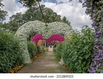 Colorful Flowering Annual Flowerbeds With Petunia In Various Bright Color 