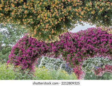 Colorful Flowering Annual Flowerbeds With Petunia In Various Bright Color 