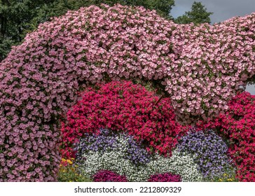 Colorful Flowering Annual Flowerbeds With Petunia In Various Bright Color 