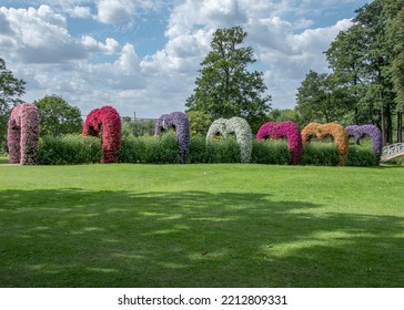 Colorful Flowering Annual Flowerbeds With Petunia In Various Bright Color 