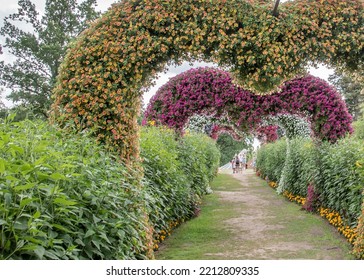 Colorful Flowering Annual Flowerbeds With Petunia In Various Bright Color 