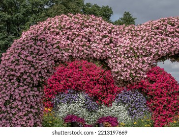 Colorful Flowering Annual Flowerbeds With Petunia In Various Bright Color 