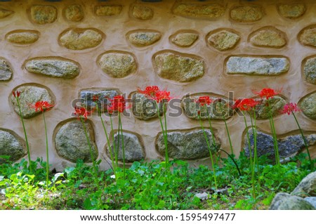 Similar – suburban idyll Garden