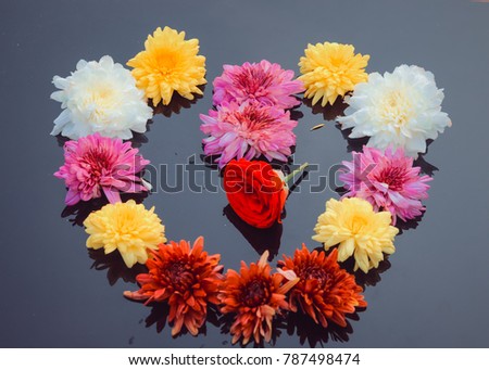 Similar – Image, Stock Photo Summer flowers frame on green