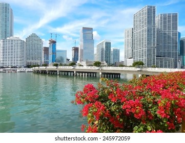 Colorful flowers Biscayne bay skyline photo. Miami florida usa