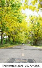 Colorful Flowers Bloom In Different Seasons.