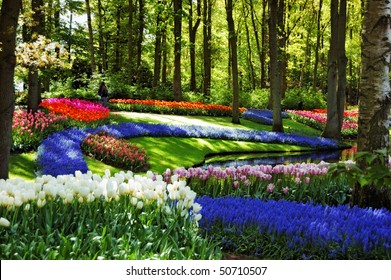 Colorful flowers and blossom in dutch spring garden Keukenhof (Lisse, Netherlands)