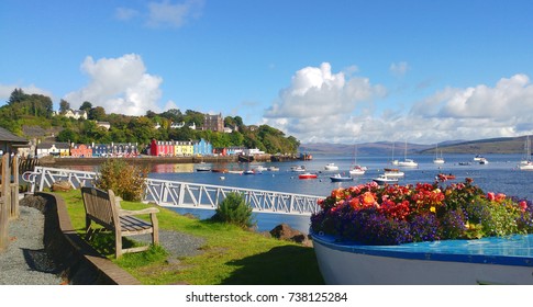 Colorful flowers with colorful buildings on sunny day at Tobermory, Scotland, UK