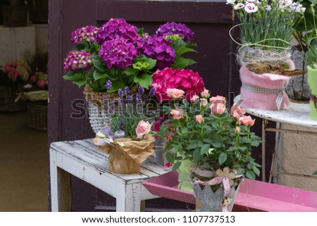 colorful flowers in a garden deco shop at springtime south germany