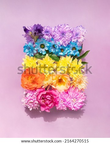 Colorful flowers on pastel light pink background. Creative nature concept. Minimalistic rainbow colors composition.