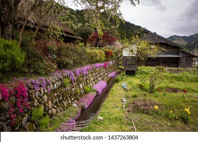 Colorful Flowers On Stone Wall Next To Small Garden Plot