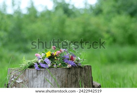 Similar – Wooden box filled with vegetables and flowers