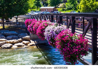Colorful Flowers On Walking Bridge Over Truckee River