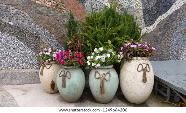 Colorful Flowers Planting Big Vases Beside Stock Photo Edit Now