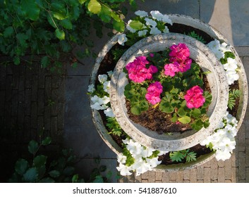 Colorful Flowers In A Round Fountain From Above